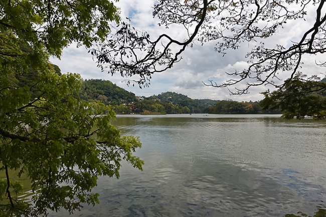 Kandy-Temple de la dent-016